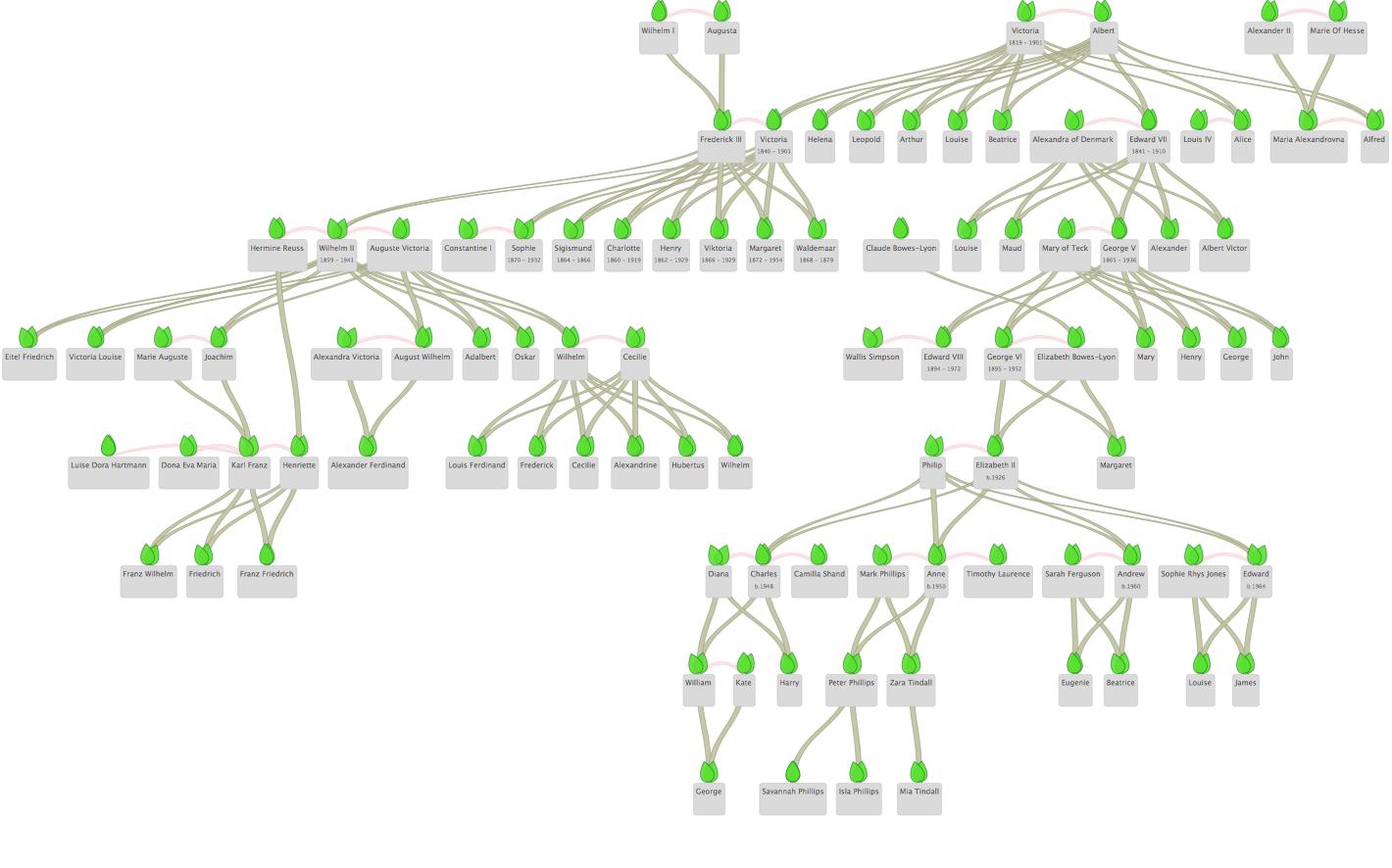 My Family Tree (Mac) Download, Review, Screenshots