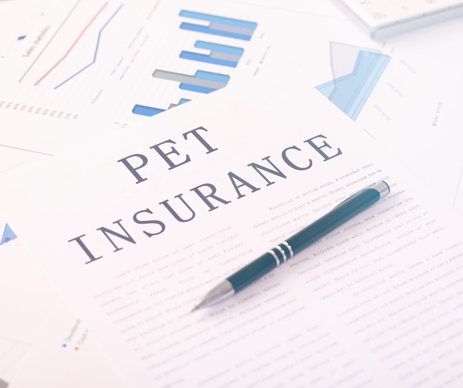 The Benefits of Pet Insurance