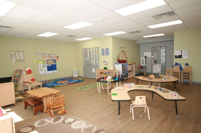 Galleries Macaulay Tree House