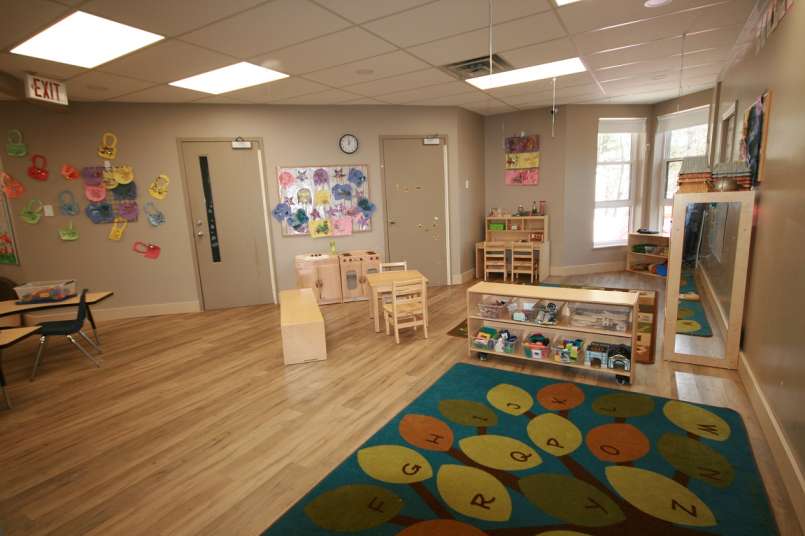 Galleries Macaulay Tree House