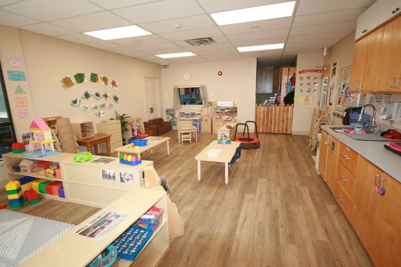 Galleries Macaulay Tree House