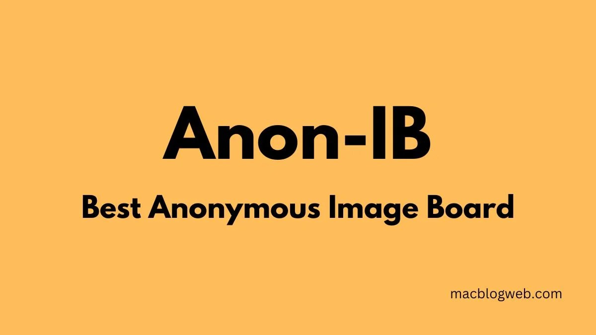 Navigating anonib with Caution and Control