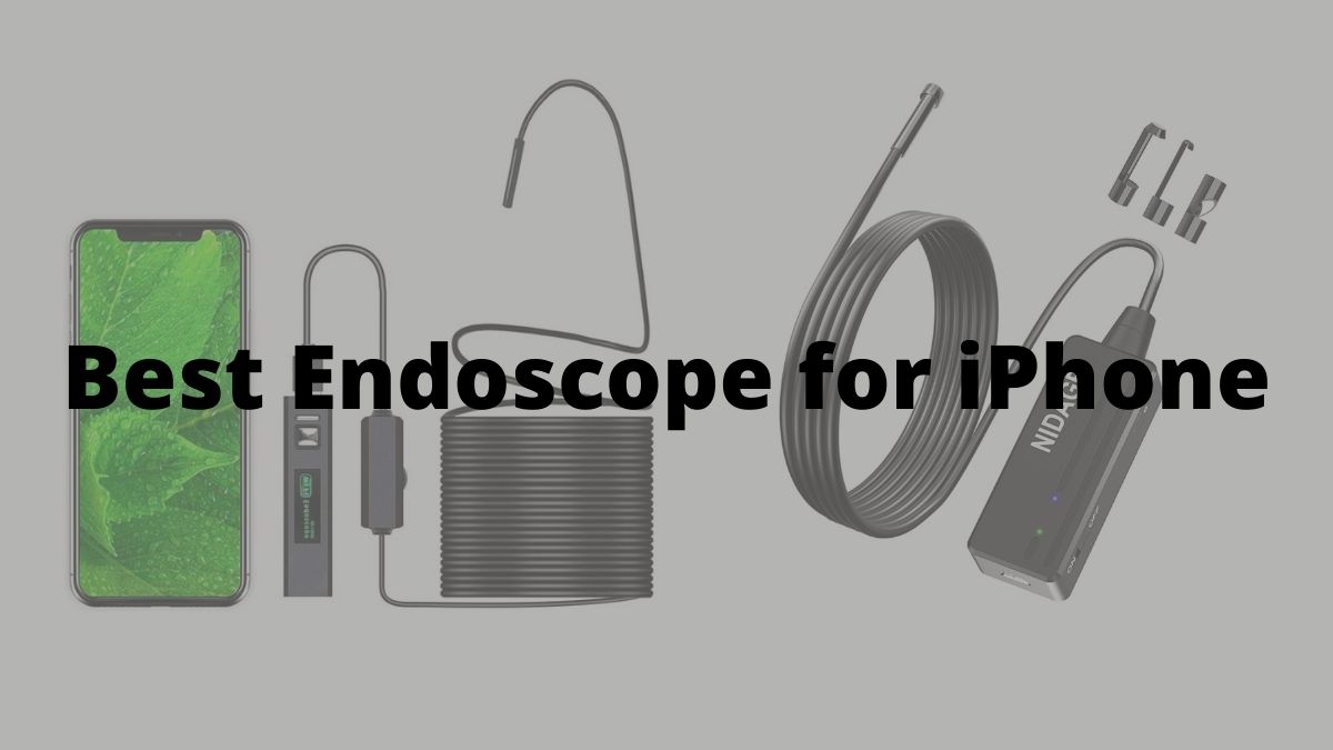 The Best Endoscope For iPhones