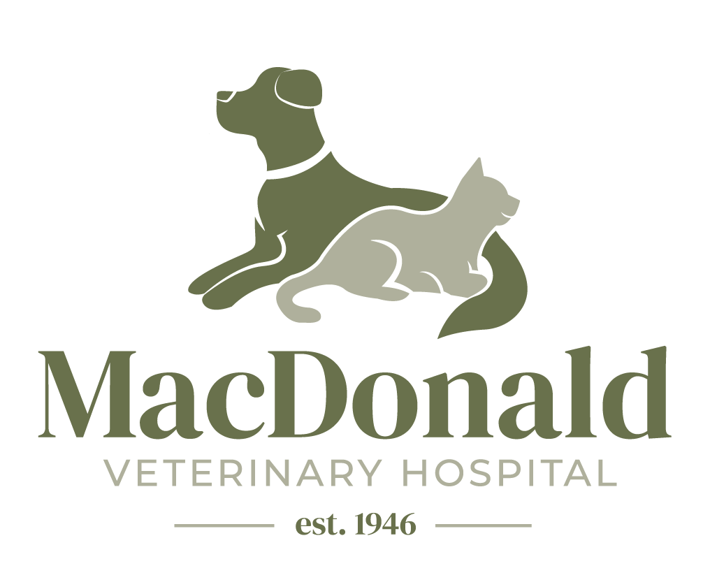 New Clients MacDonald Veterinary Hospital in Bloomfield, CT