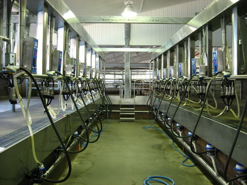 Milking Machine Maintenance Guidelines MacDougalls