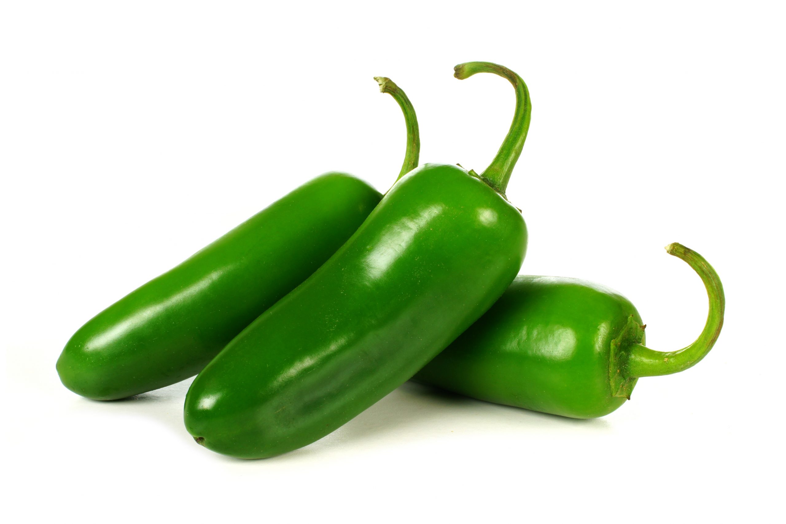 Chile Jalapeno Pepper
