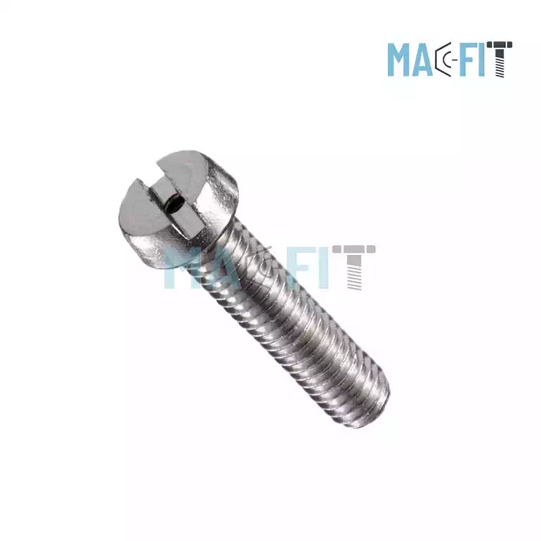 Brass Cheese Head Screw Online at Best Price MacFit Industries