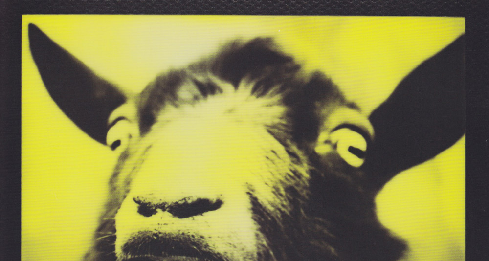 Axis 11th National McArthur Freeman