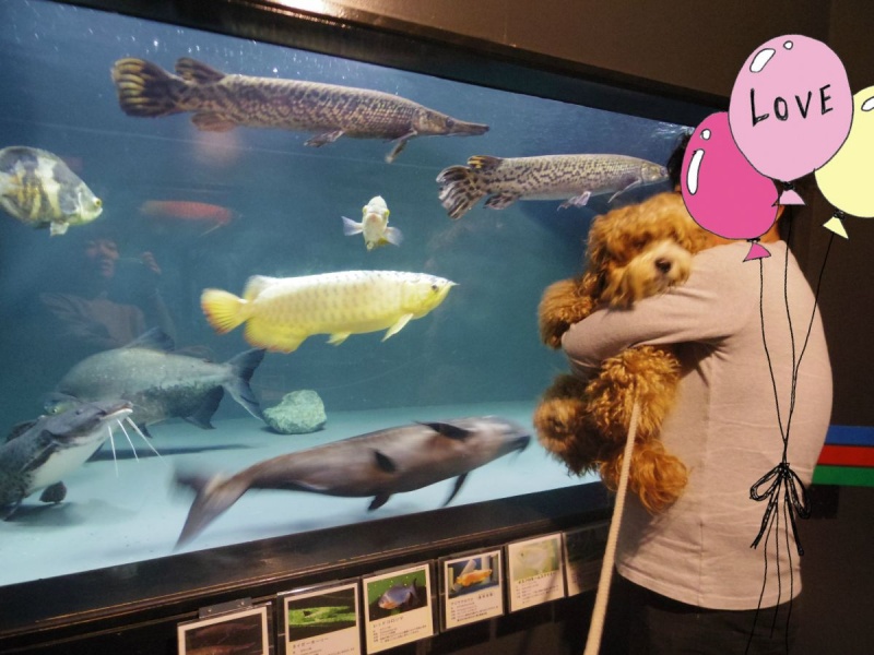 またんが » Blog Archive » 軽井沢旅行②
