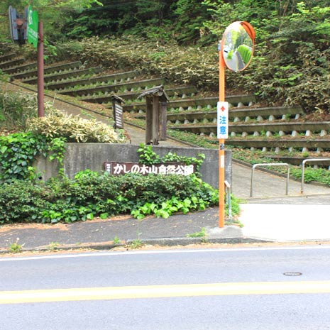 森の家 自然に関する展示等が行われています - 町田市、かしの木山自然公園の写真 - トリップアドバイザー 緑豊かな自然公園は、ちょっとしたハイキングにも最適。 | かしの木山自然公園| まちだけ。