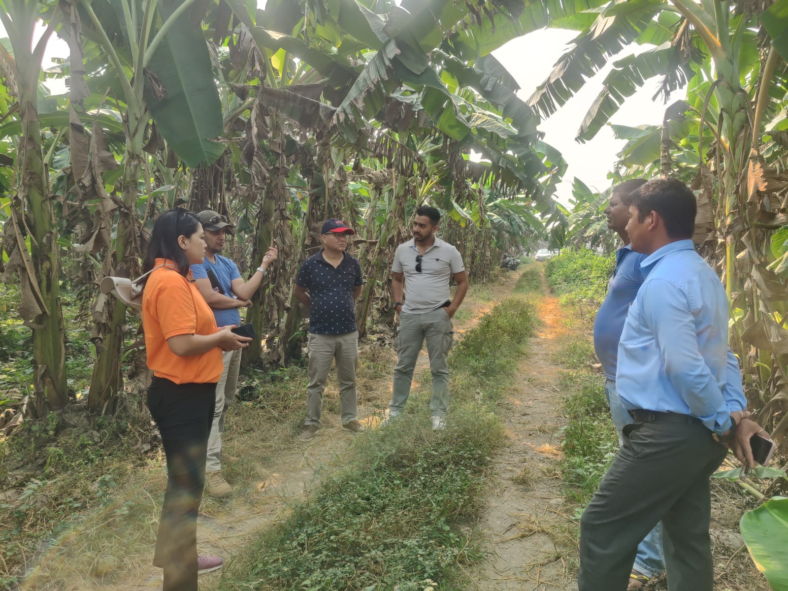 Banana Fiber Extraction Machines Machine Hub Nepal