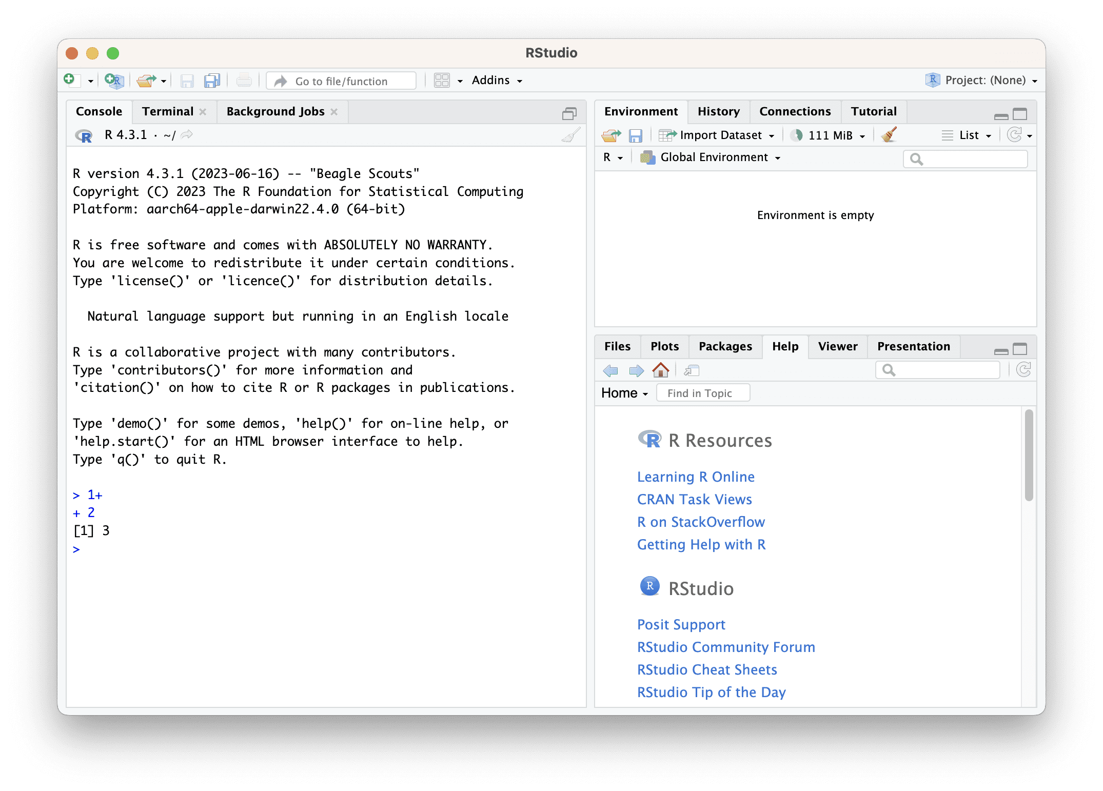 Surviving in the R Environment