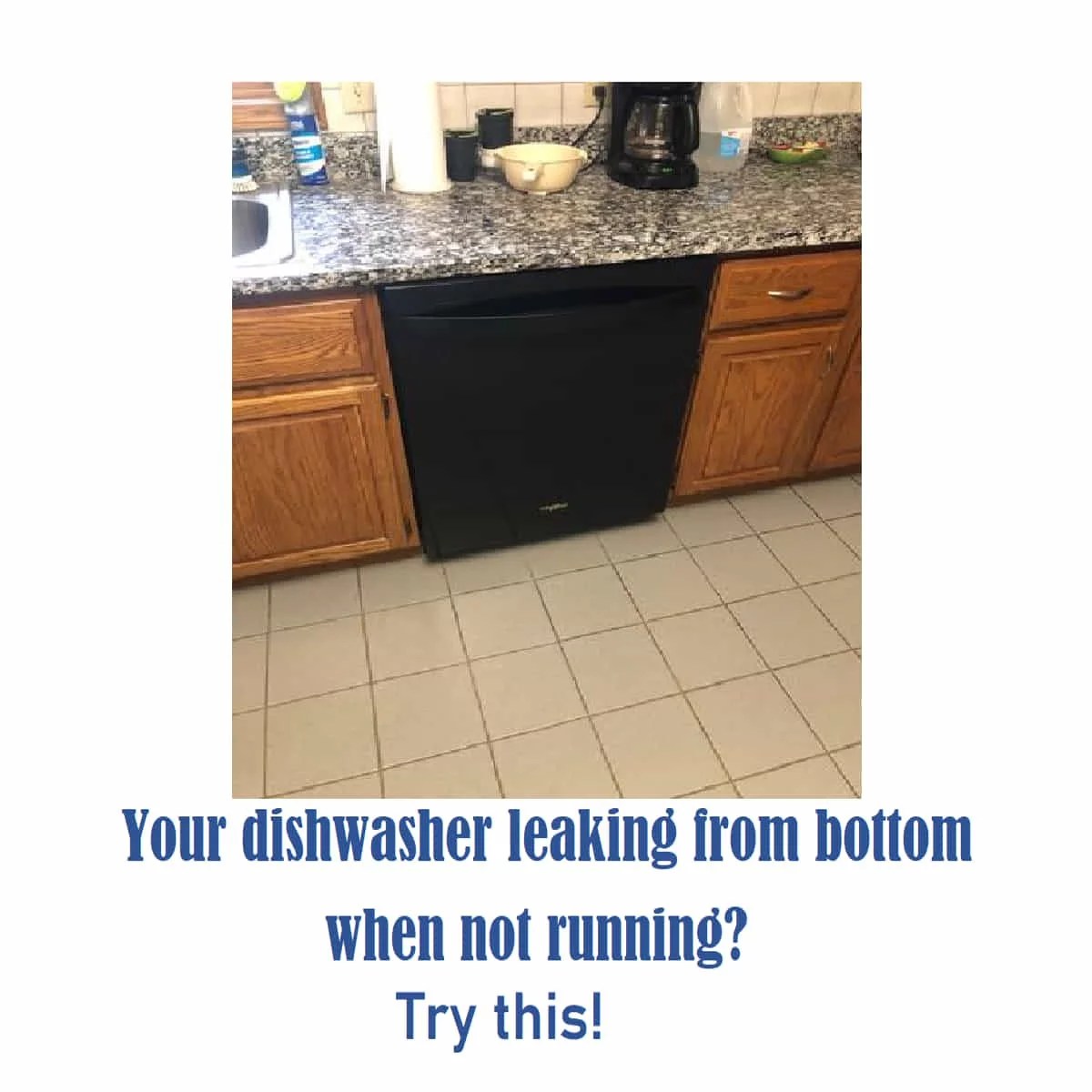 Dishwasher leaking from bottom when not running [Fixed!] MachineLounge