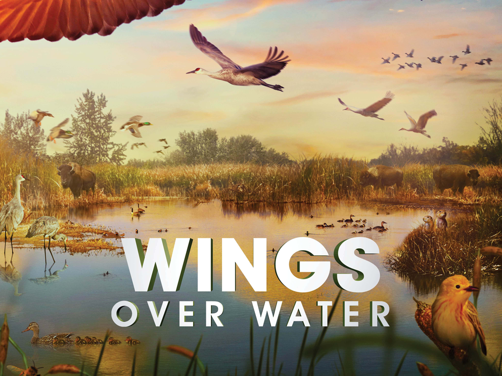 Wings Over Water