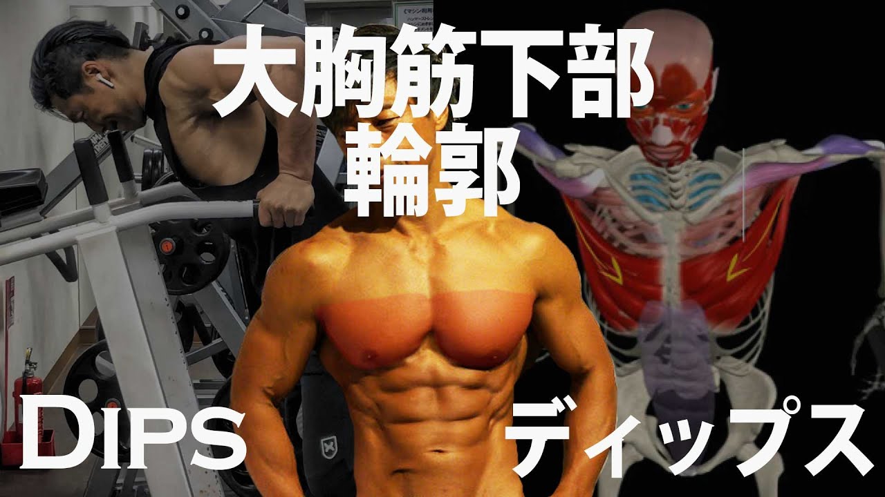 大胸筋下部を鍛えるディップスDIPS5つのポイントと2つの注意点。胸のトレーニング。 マッチョ