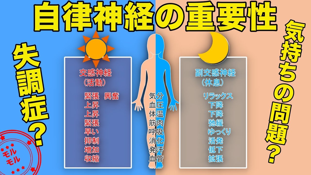 自律神経が不調になる原因とは？どんな症状が出る？【自律神経失調症チェック】 マッチョ！