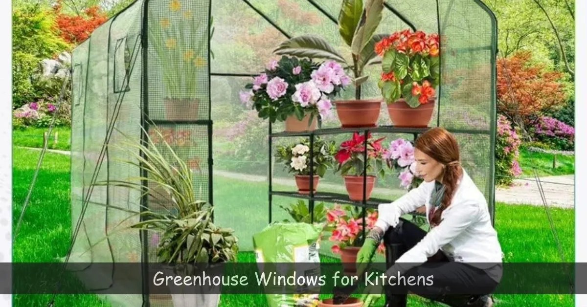 Greenhouse Windows for Kitchens Benefits and Types Machrus USA