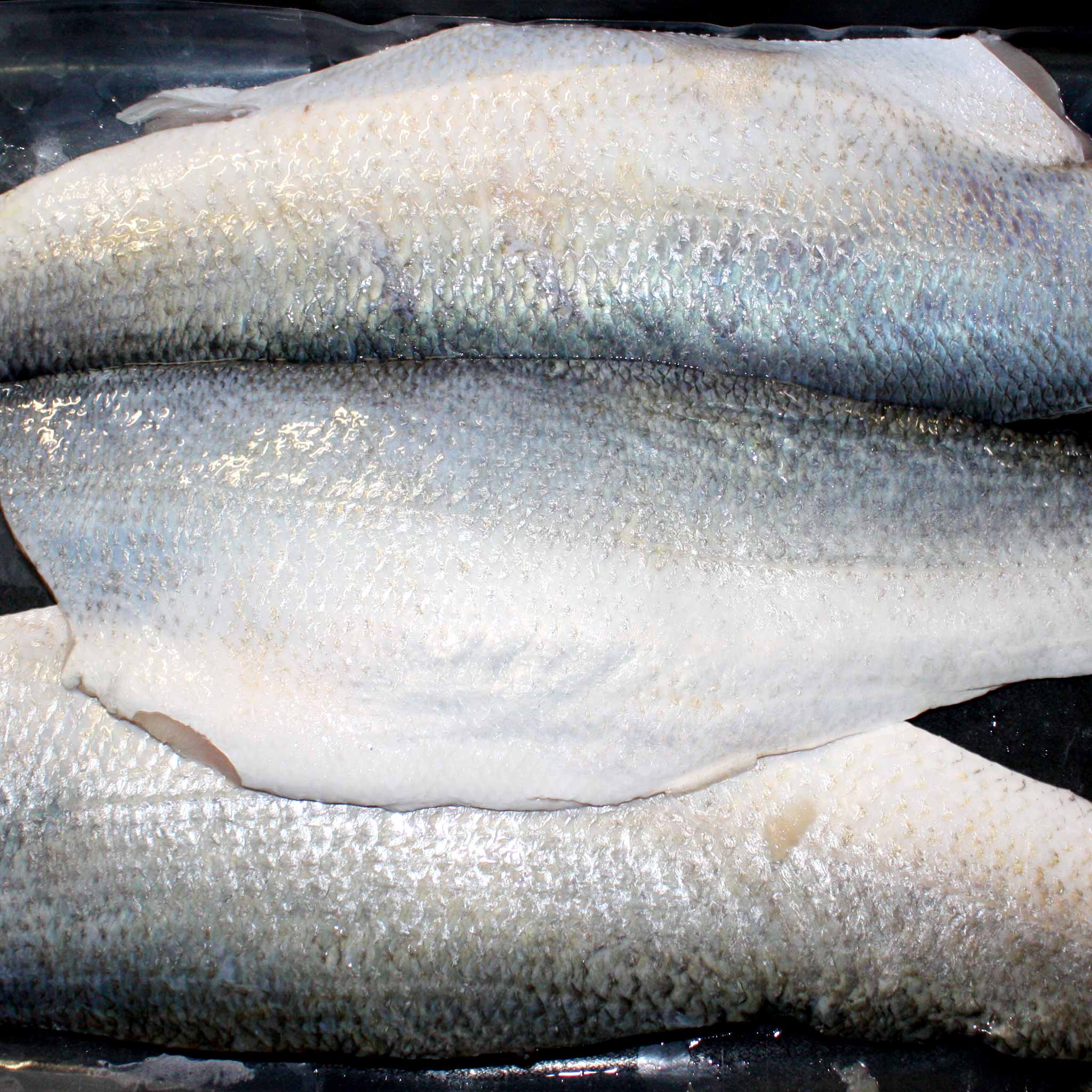 Blue Salmon Fillets Mackay Fish Market