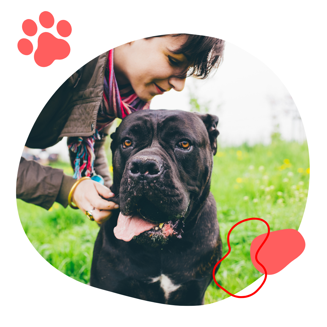 Support Us Mackay Pet Rescue Inc