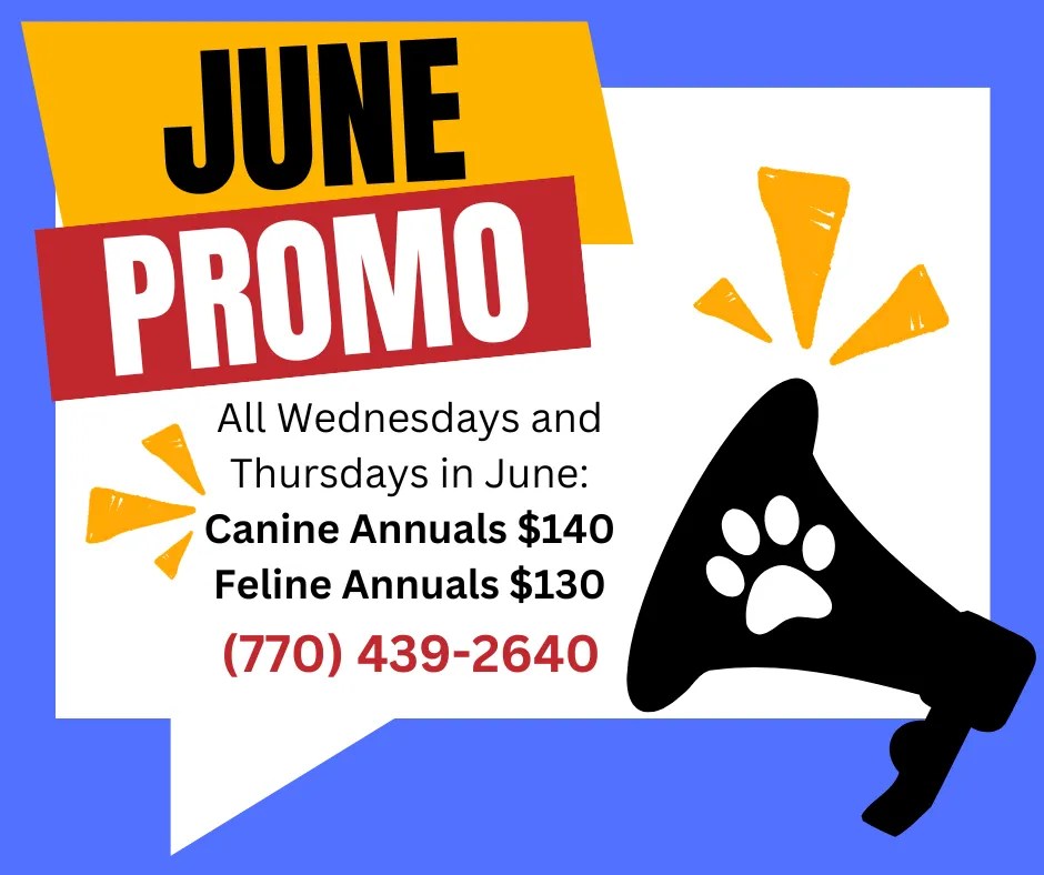 Macland Animal Hospital in Powder Springs
