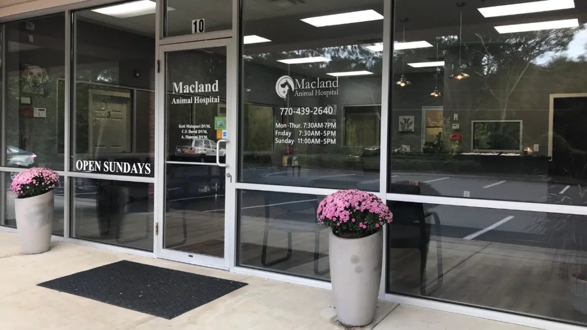 Tour Macland Animal Hospital