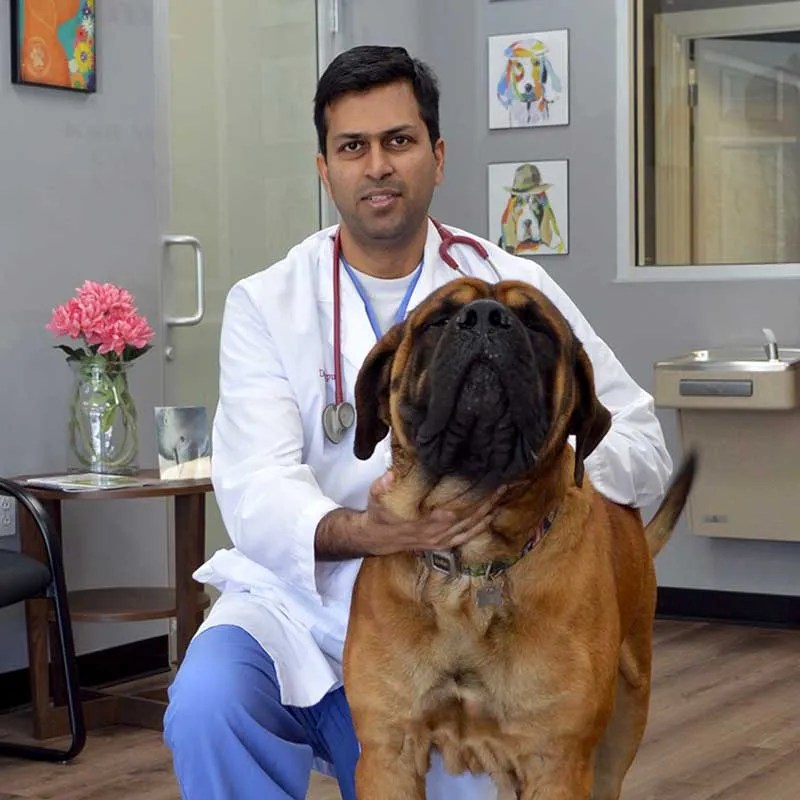 Macland Animal Hospital in Powder Springs