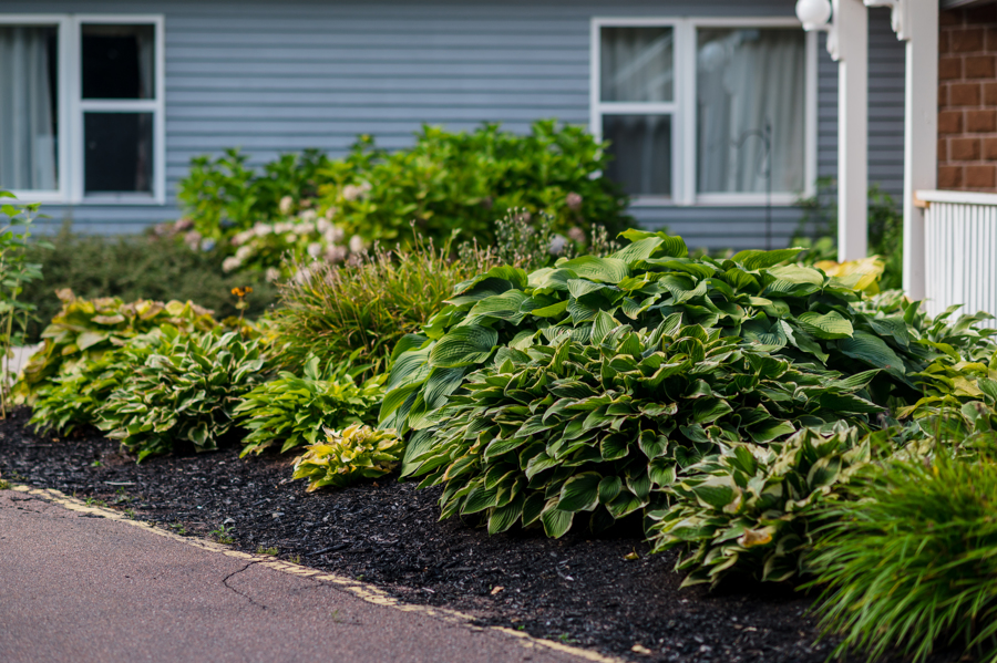 MacLeod Cares South Shore Villa MacLeod Cares It’s What We Do!