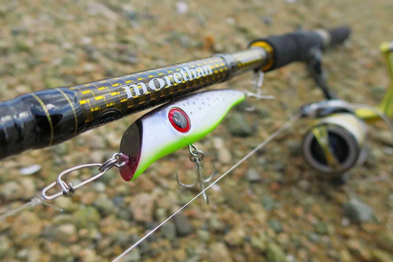 シーバス（鱸・スズキ）釣りの魅力と釣り方について