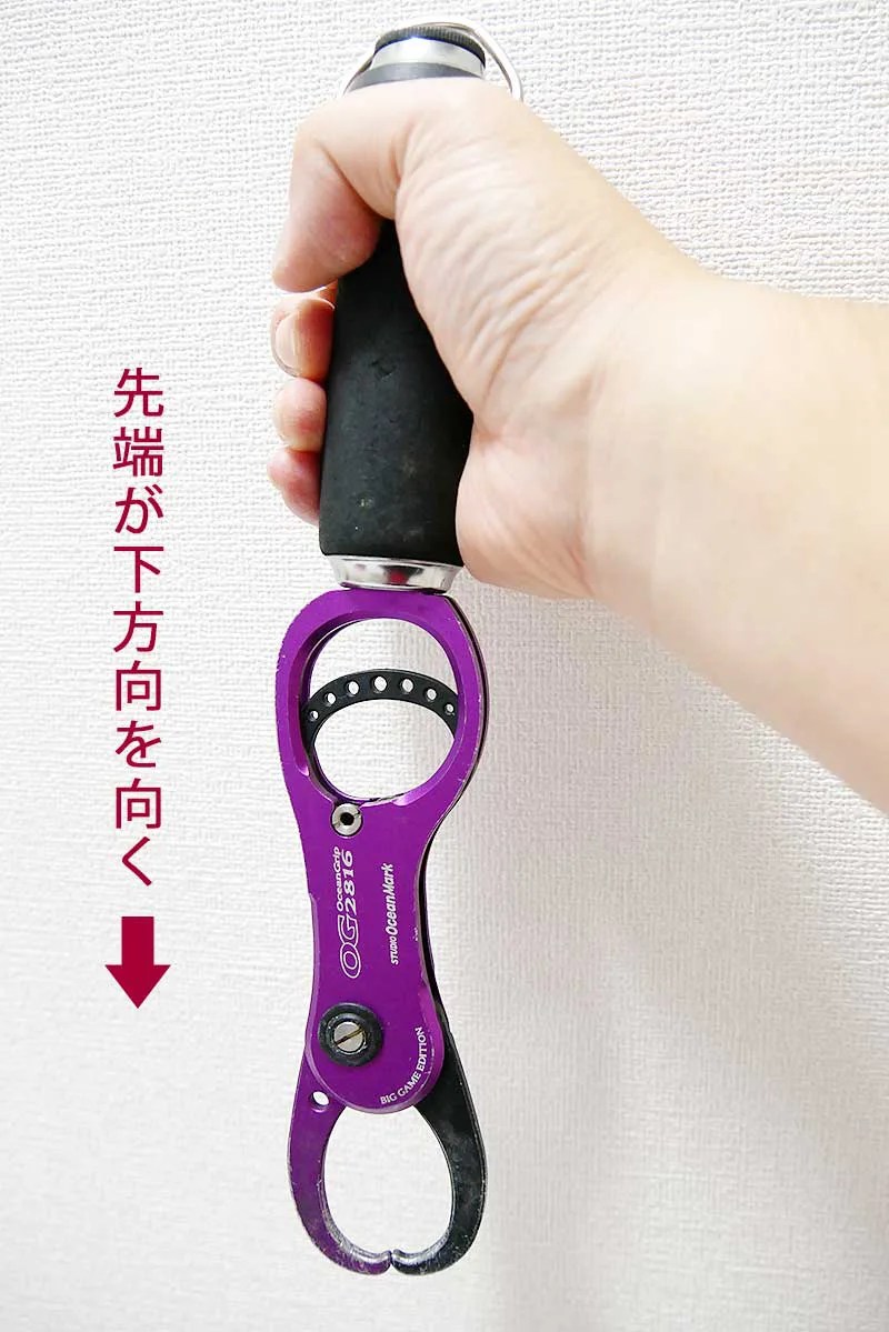 魚を掴むフィッシュグリップの使い方とブツ持ち撮影の注意点