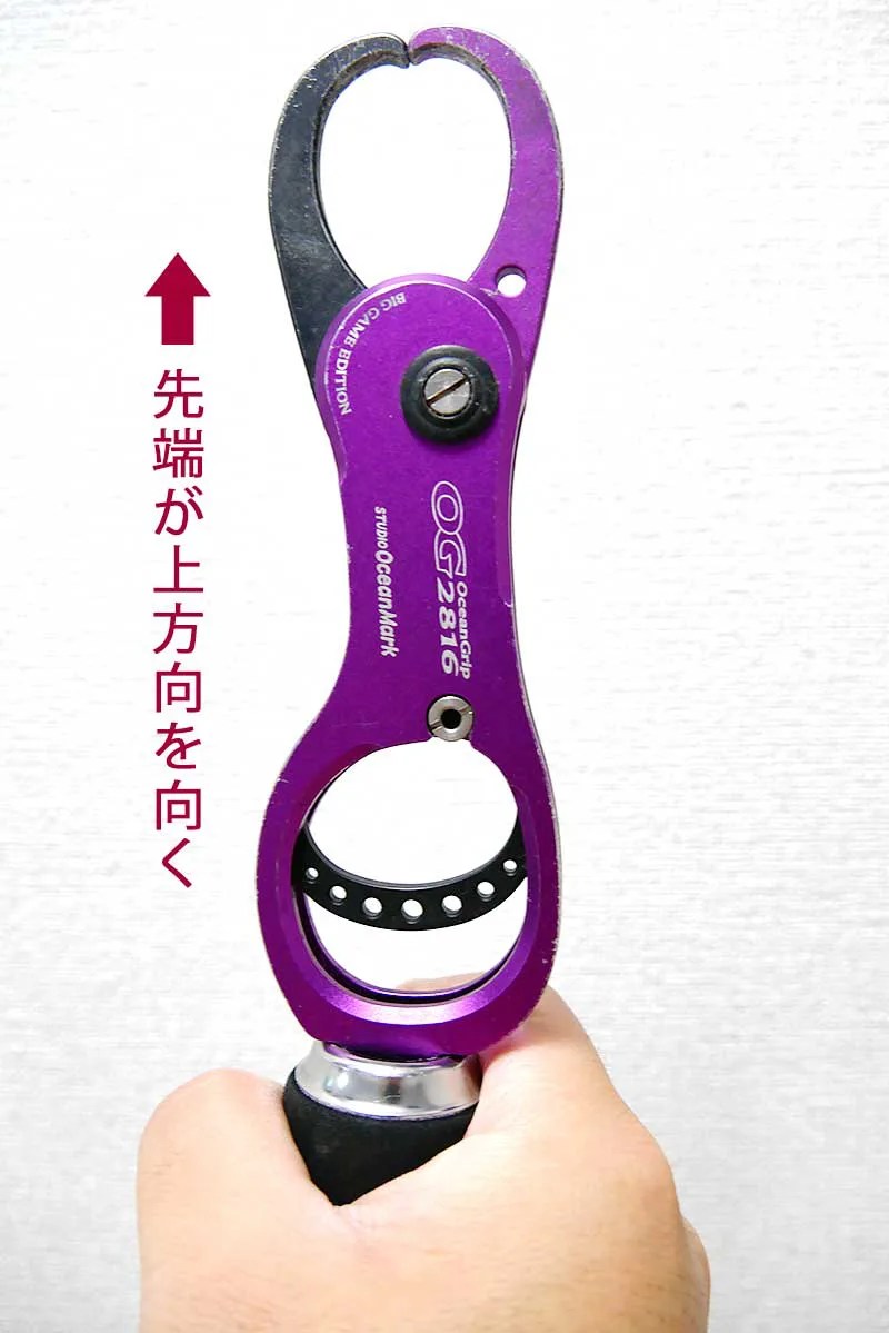 5+ フィッシュ グリップ 使い方 For You