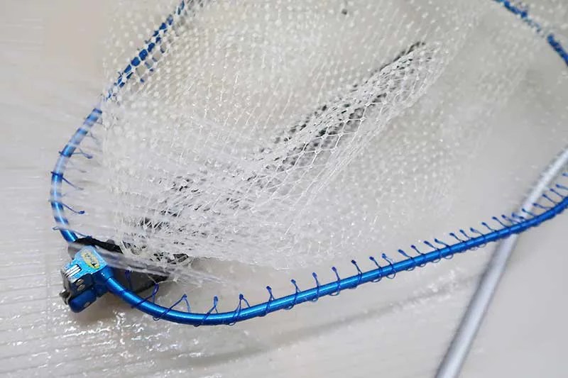 釣りにタモは必要！最適な長さと折らない使い方について