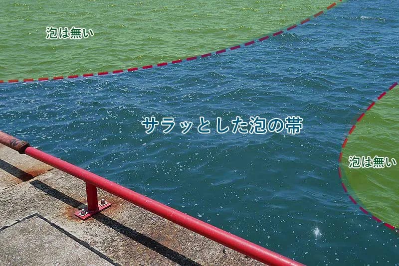 シーバス釣り・潮目で釣れる理由と具体的な釣り方