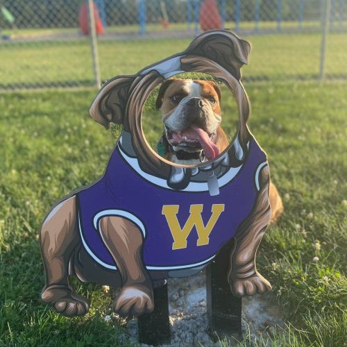 Park District Patton Park