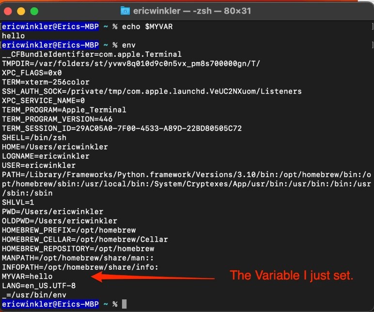 How to Set Environment Variable in Mac Terminal