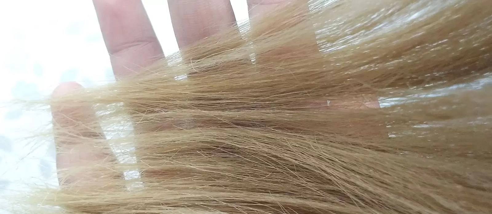 Lait De Coco Cheveux Ma Cure Pour La Pousse Et Le Soin Des Cheveux
