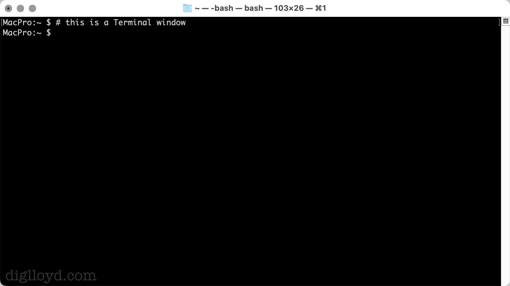 Opening and Configuring Terminal.app
