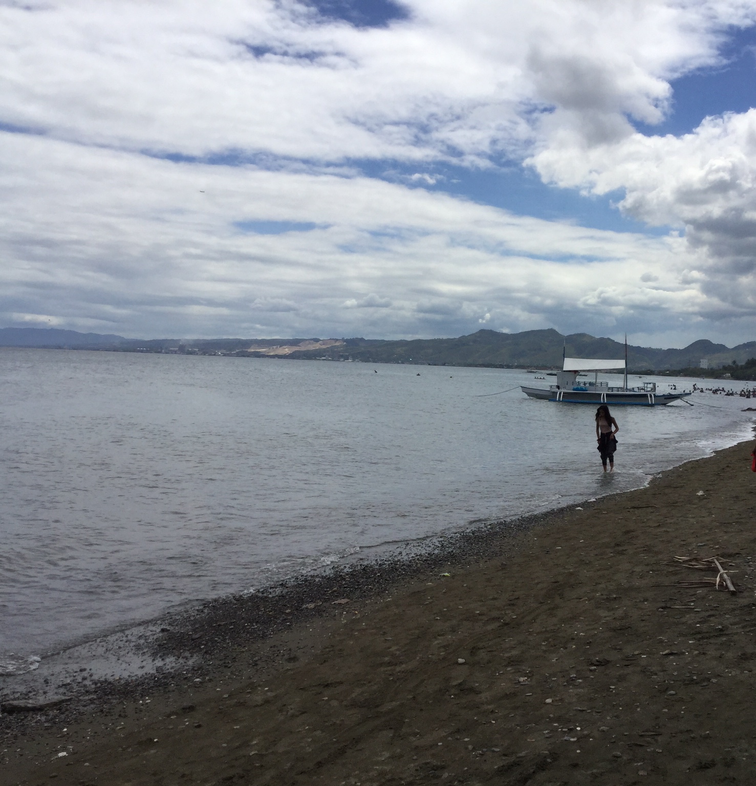 Mac Realty Services Beach Lot for Sale in Talisay City, Cebu Mac