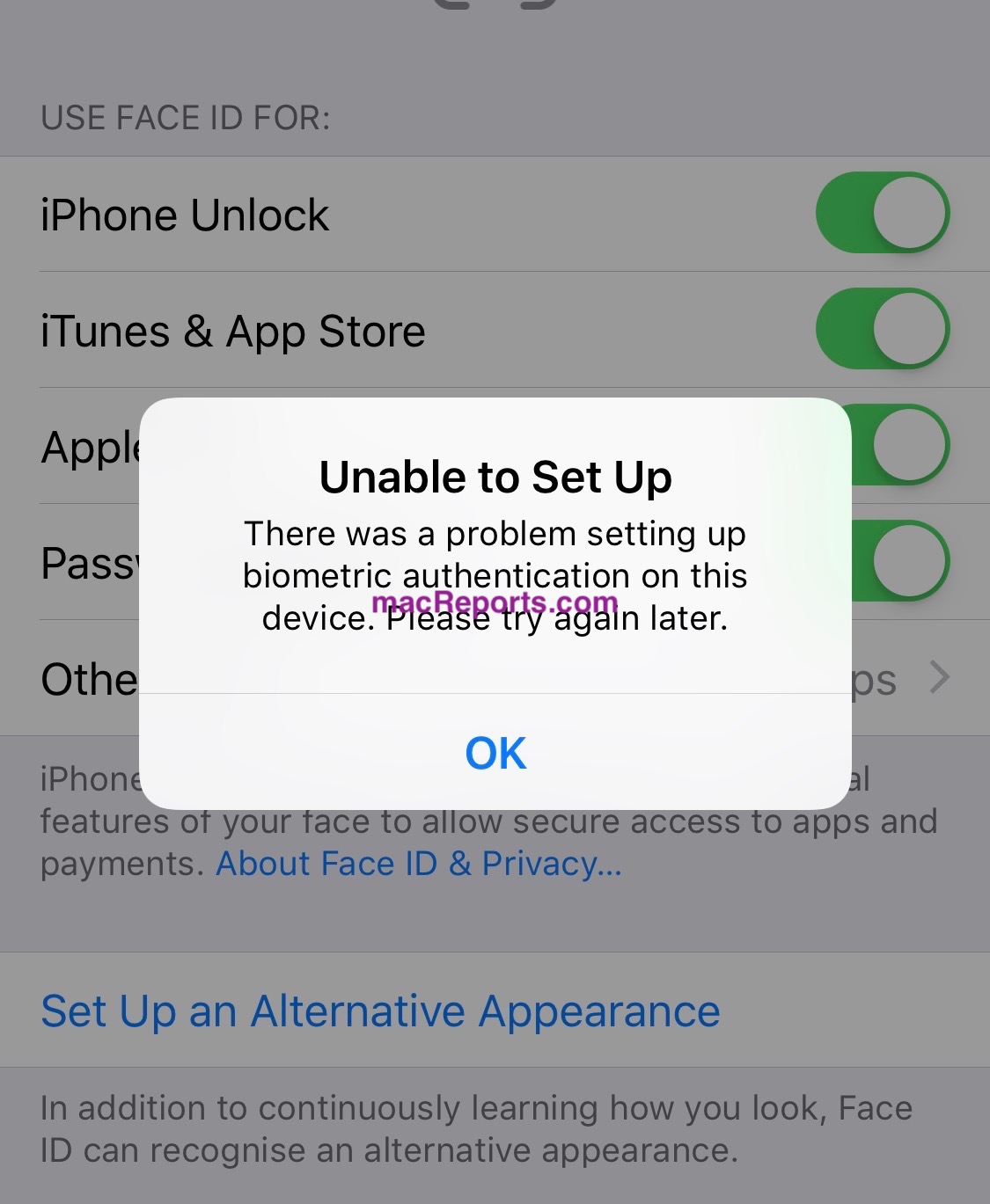 Face ID Unable To Set Up, Biometric Authentication Error, Fix • macReports