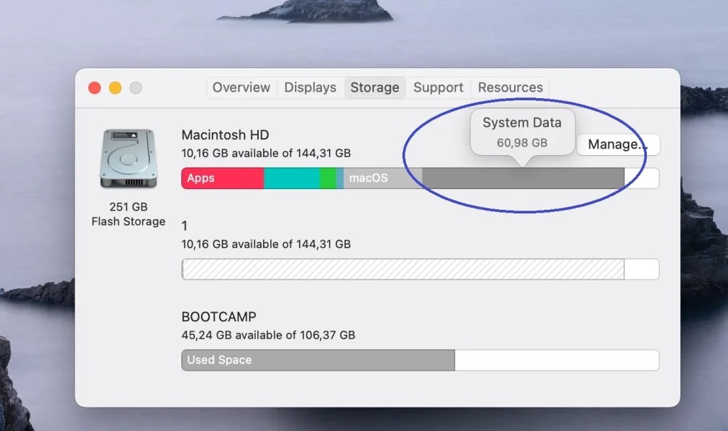 What is System Data on Mac and how to clear it