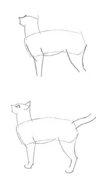 как нарисовать лежащую кошку