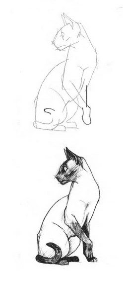 как нарисовать лежащую кошку