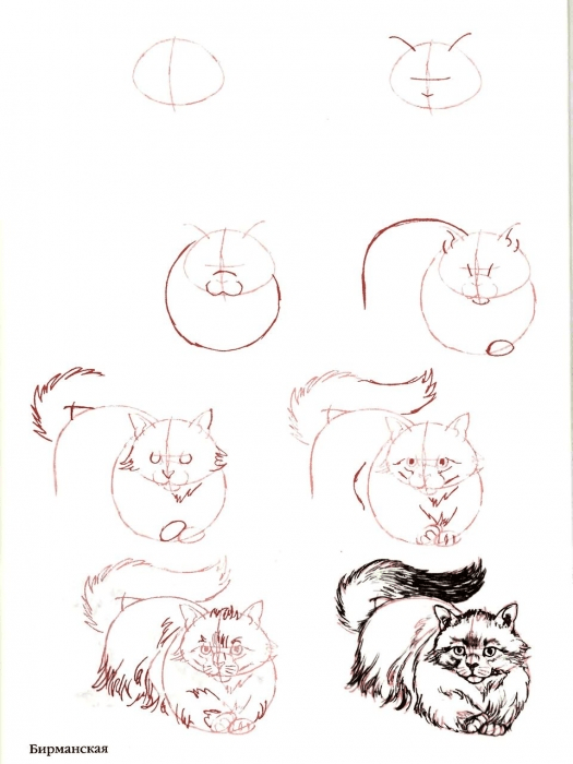 как нарисовать голубую кошку