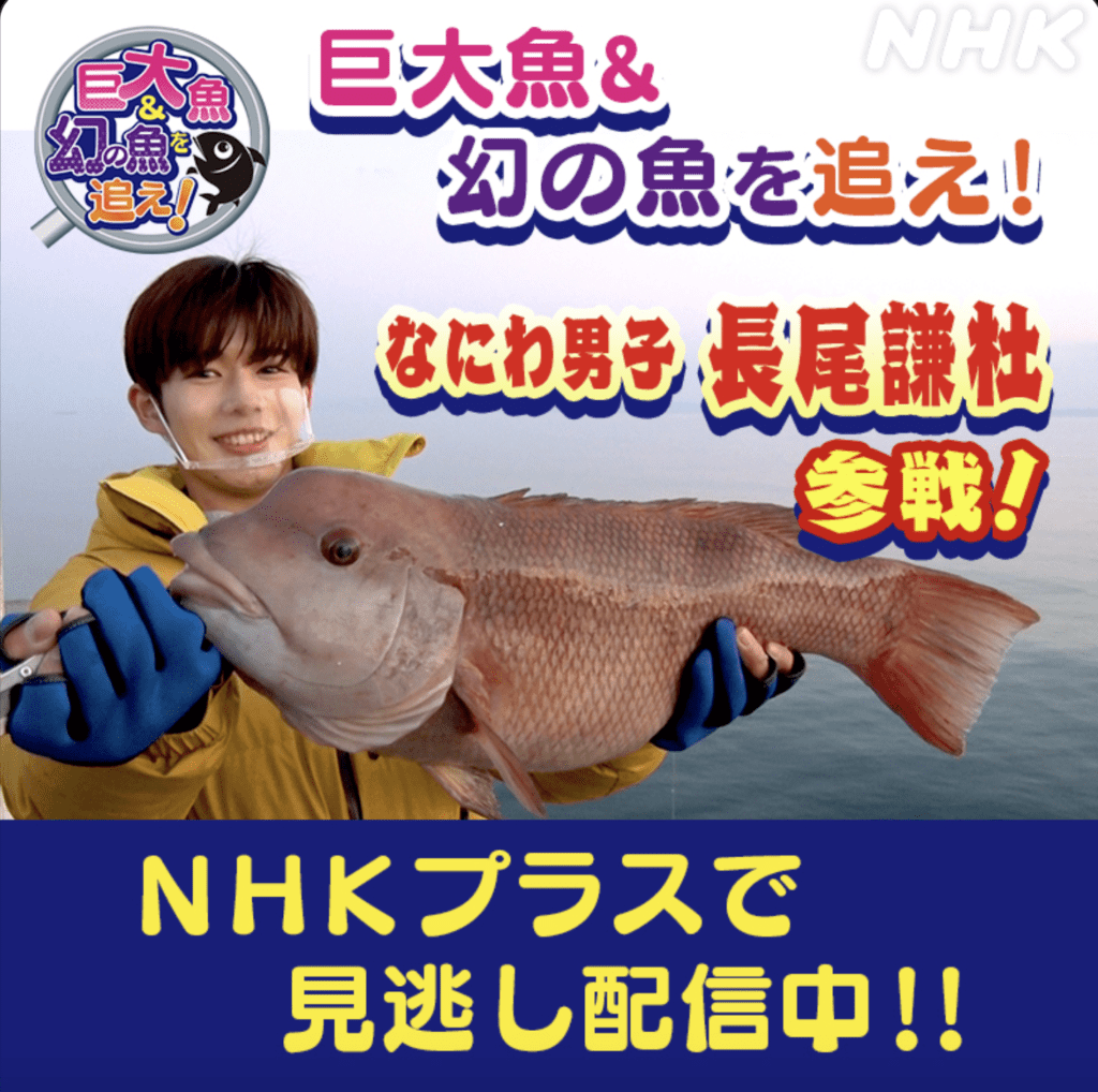 見逃し配信『巨大魚＆幻の魚を追え！～大阪湾の魚大調査』 マクロベース株式会社 公式HP