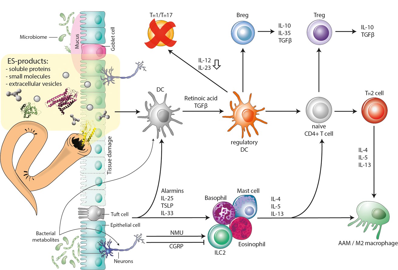 Our Science Macrobiome