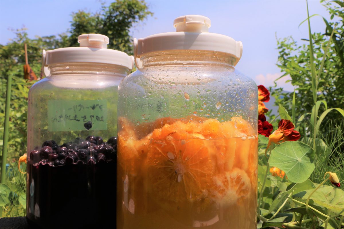 材料3つ！レモンで作る、発酵が成功しやすい、簡単「酵素ドリンク」の作り方 IN YOU Organic Life to all the