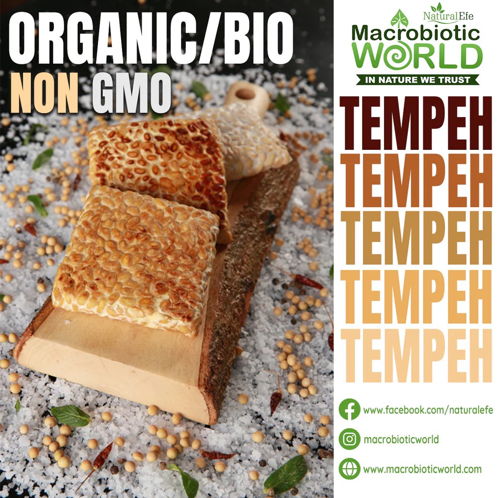The first non GMO Tempeh in Thailand Macrobiotic World