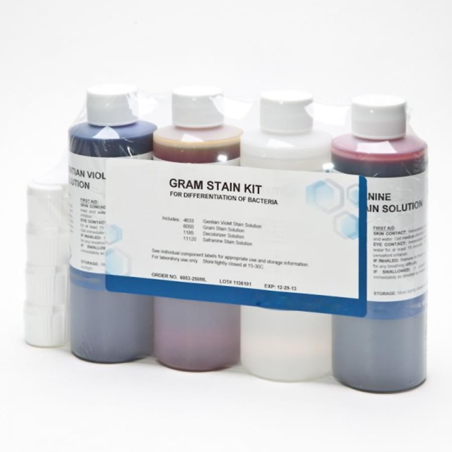 Gram's Staining Kit Macromed Philippines