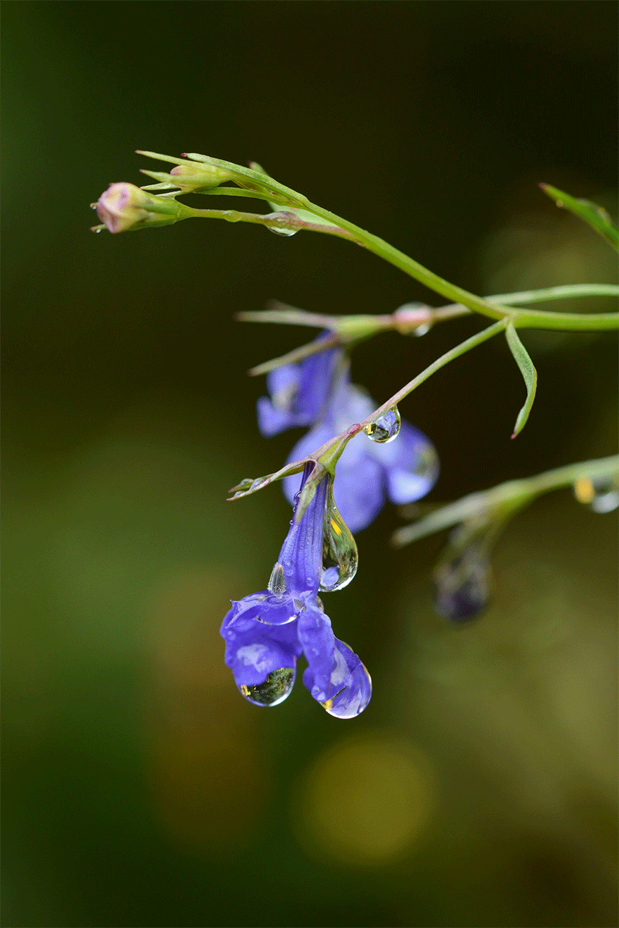 5 Lightroom mobile tips you might not know