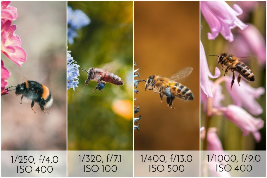 How to Start Shooting in Manual Mode Beginner's Guide