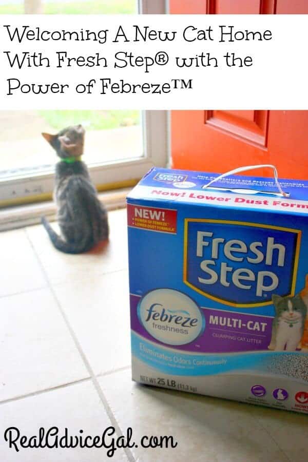 Fresh Step® with the Power of Febreze™ Review